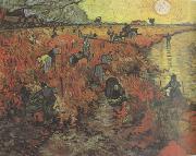 Vincent Van Gogh The Red Vineyard (nn04) oil painting picture wholesale